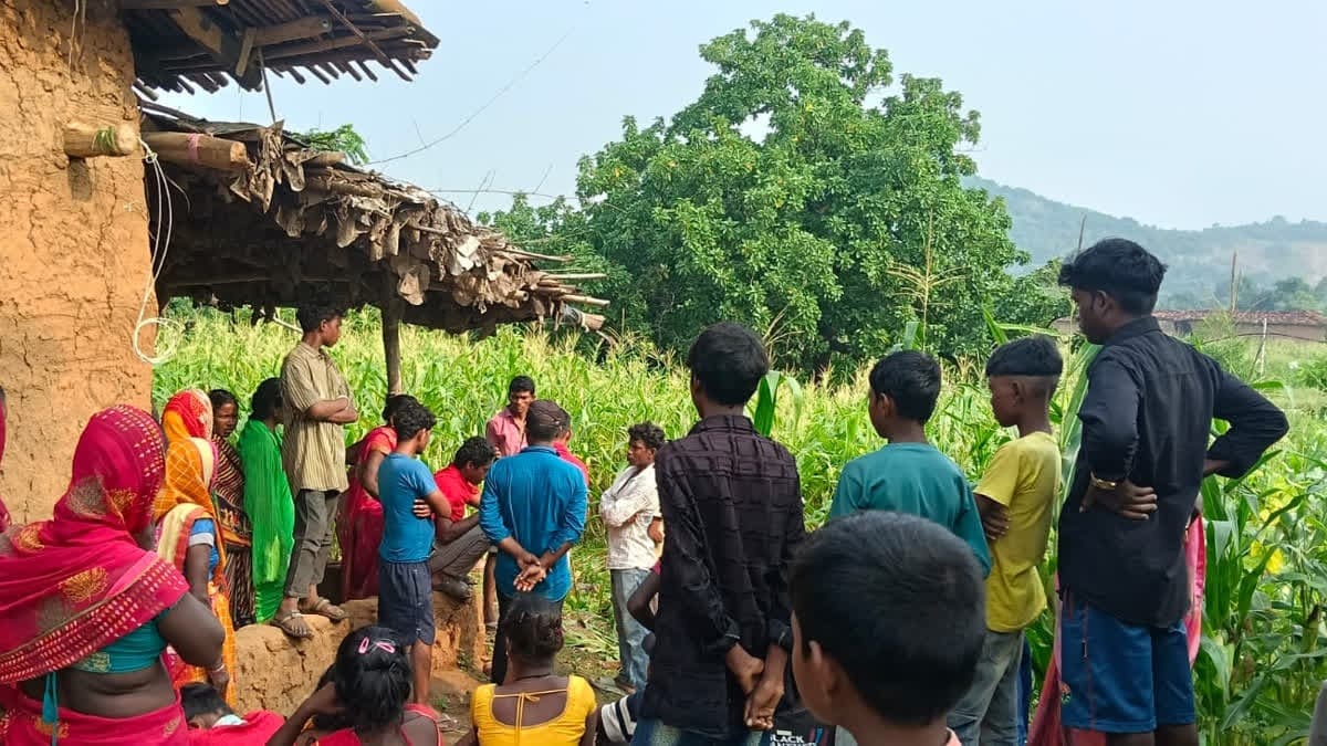 पलामू में ससुर पर दामाद की हत्या का आरोप, मकई खेत में मिला शव