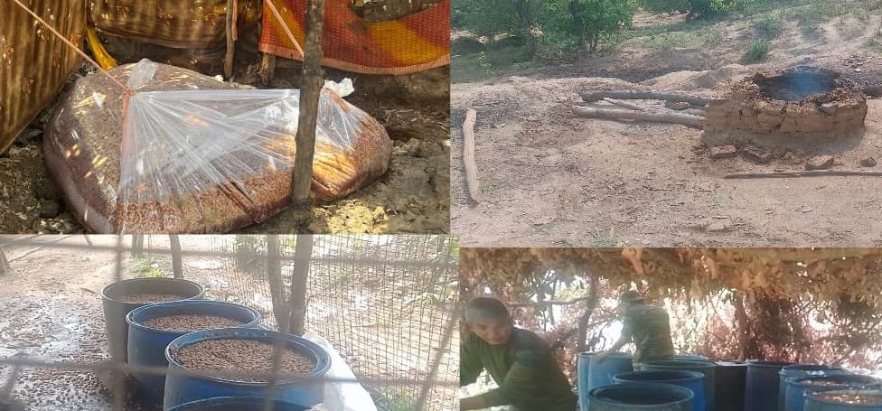 शराब माफियाओं के खिलाफ उत्पाद विभाग की बड़ी कार्रवाई, 9,500 किलोग्राम जावा महुआ नष्ट, 800 लीटर चुलाई शराब जब्त