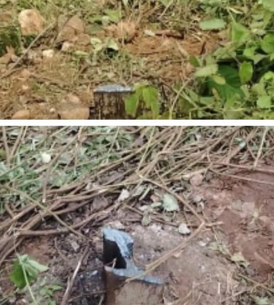 बरही में बिजली के लोहे के पोल की चोरी, गैस कटर से काटकर पांच पोल उड़ा ले गए चोर, थाना में आवेदन