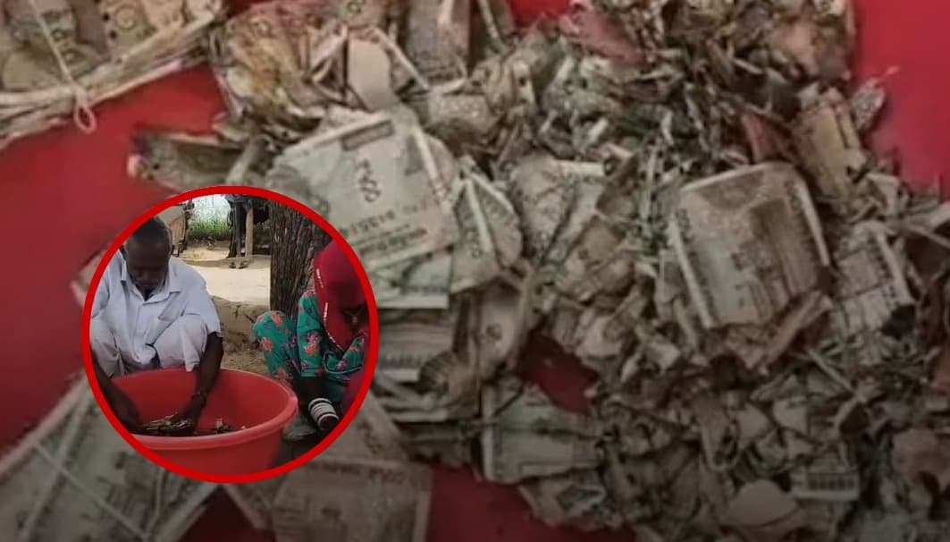 जमीन में दबाए 5 लाख रुपये, सालभर बाद निकाले तो उड़ गए होश! नोट बने कागज के टुकड़े
