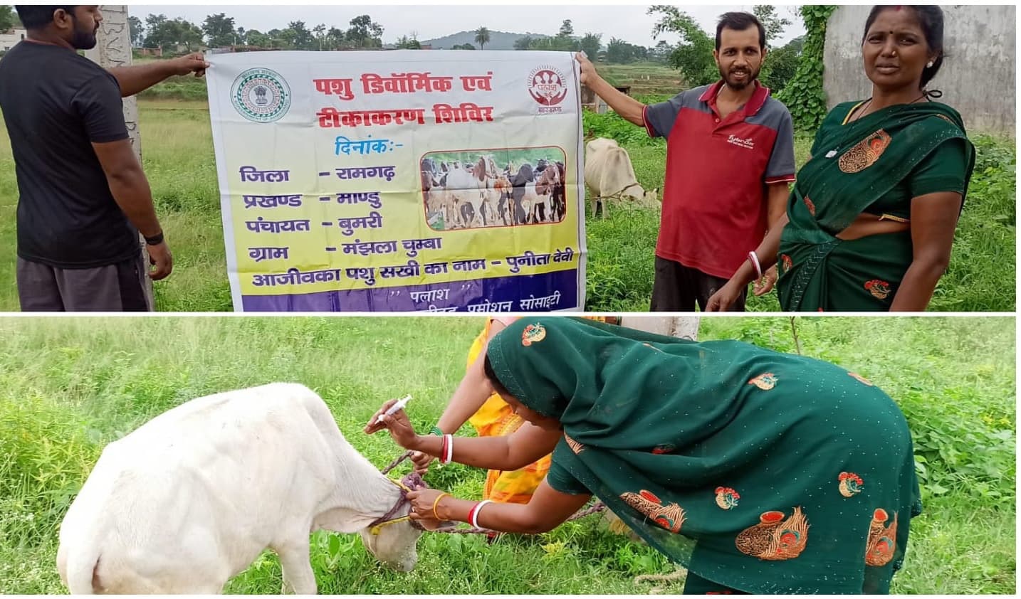 खुरपका-मुंहपका से बचाव को टीकाकरण तेज