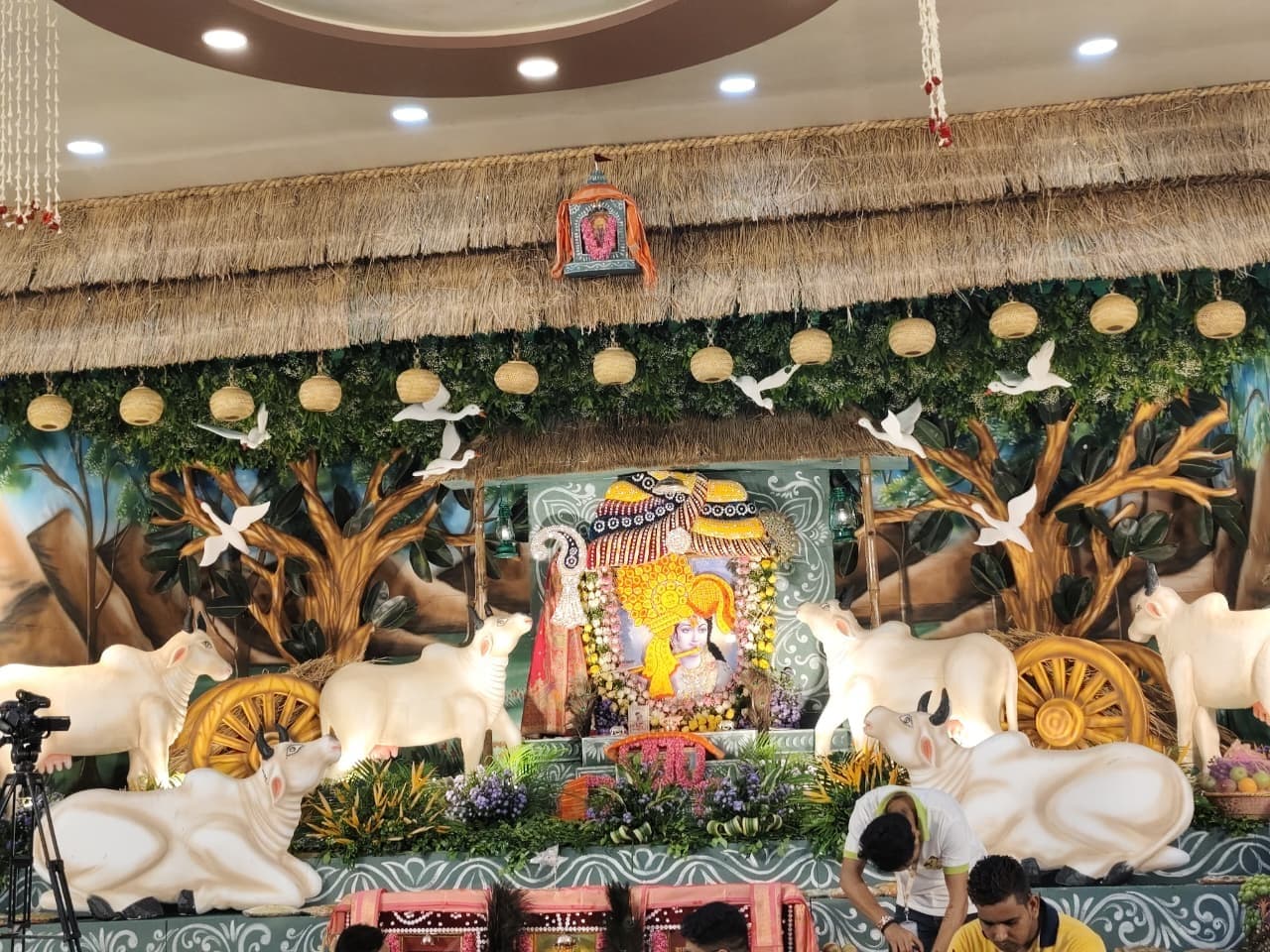 आस्था : पंचम श्री श्याम मनुहार महोत्सव भव्यता के साथ संपन्न, देर रात तक गूंजते रहे बाबा श्याम के जयकारे