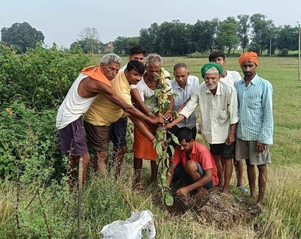 तीज पर पौधे की पूजा कर दिया पर्यावरण बचाने का संदेश