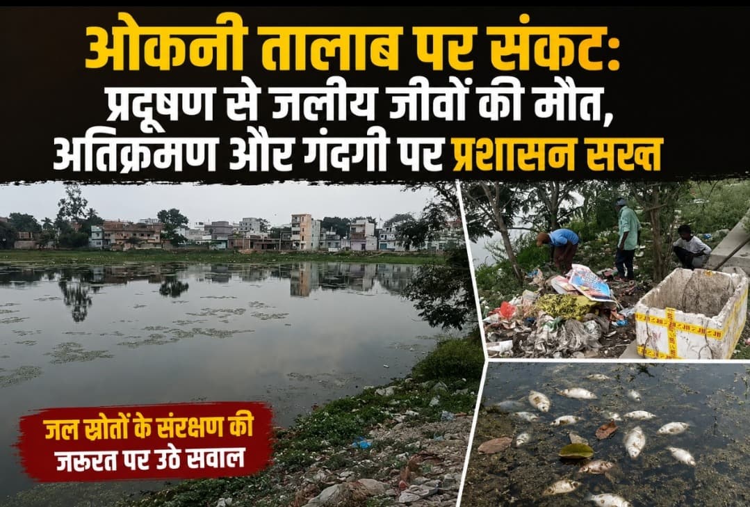 ओकनी तालाब पर संकट: प्रदूषण से जलीय जीवों की मौत, अतिक्रमण और गंदगी पर प्रशासन सख्त