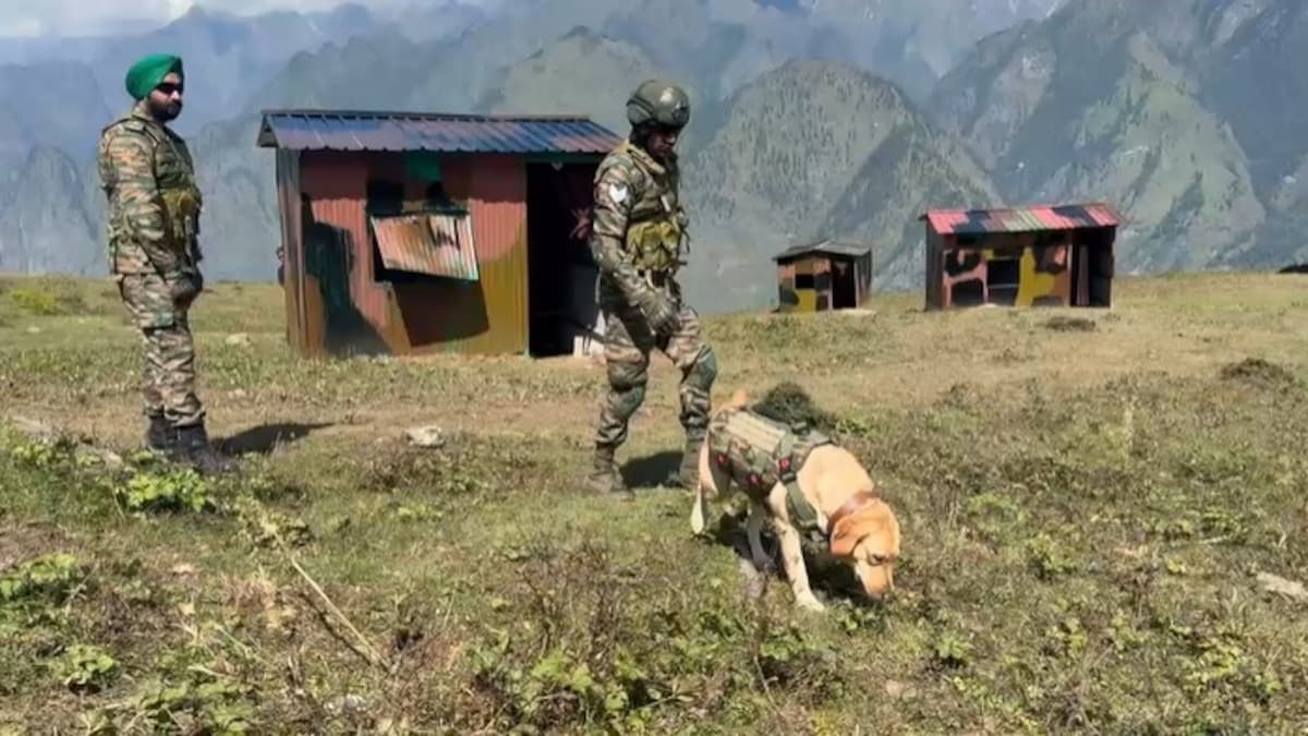युद्ध अभ्यास में भारतीय सेना के चार श्वानों का दमदार प्रदर्शन
