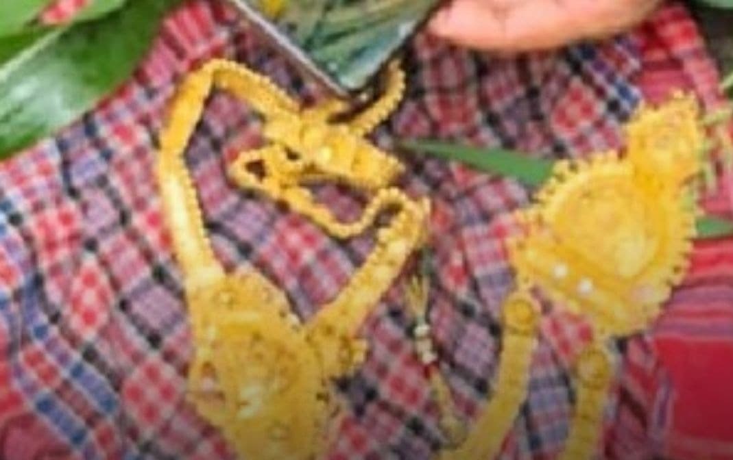 खेत ने उगला करोड़ों का सोना, बिजली के खंभे के नीचे गड़ा मिला खजाना