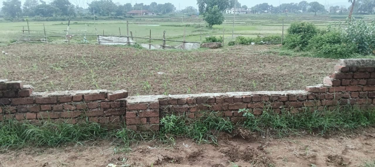 बारा में युवक को कुचलने के बाद बगोदर में घुसा हाथियों का झुंड, यमुनानगर में मचाया उत्पात