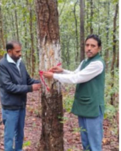 पेड़ बने जीवन के रक्षक: विष्णुगढ़ के पत्थल चुआं में गूंजा पर्यावरण संरक्षण का जयघोष