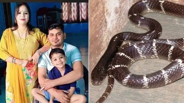 ड्राइवर के इश्क में पत्नी (एक और सोनम का खुलासा)