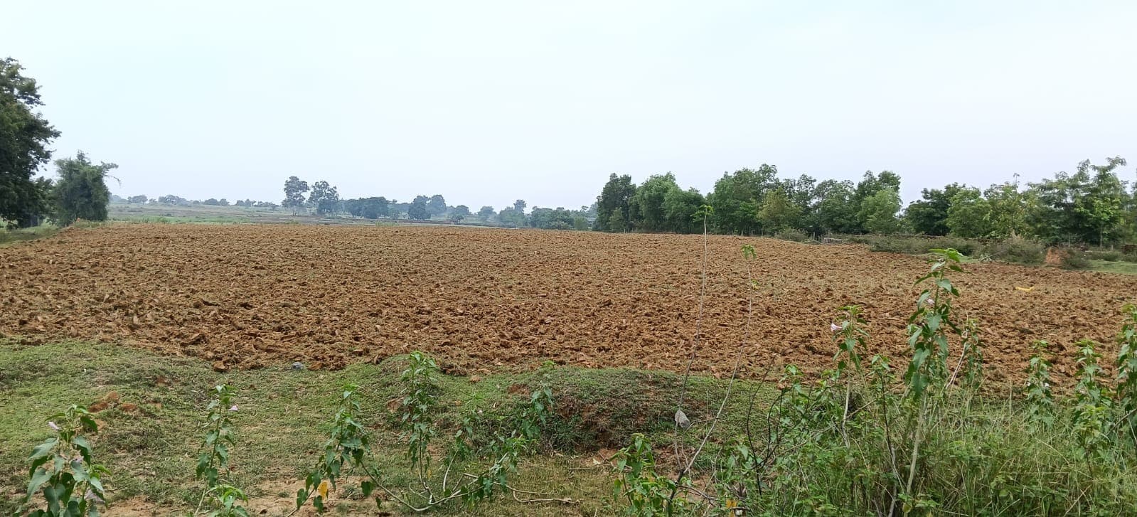कंचनपुर में वन भूमि पर फिर अतिक्रमण का आरोप, सूचना के बाद भी विभाग मौन