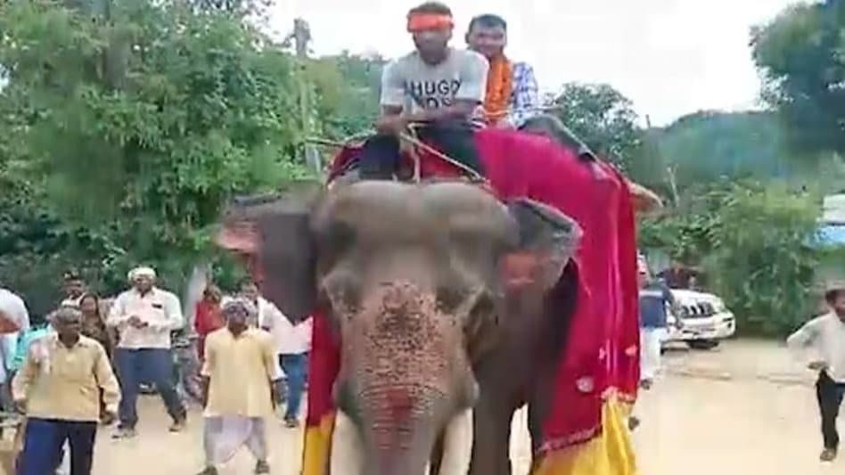 बेटा बना ग्राम पंचायत अधिकारी तो पिता ने हाथी पर बैठाकर कराया शाही स्वागत, बस्ती में अनोखे जश्न का वीडियो वायरल