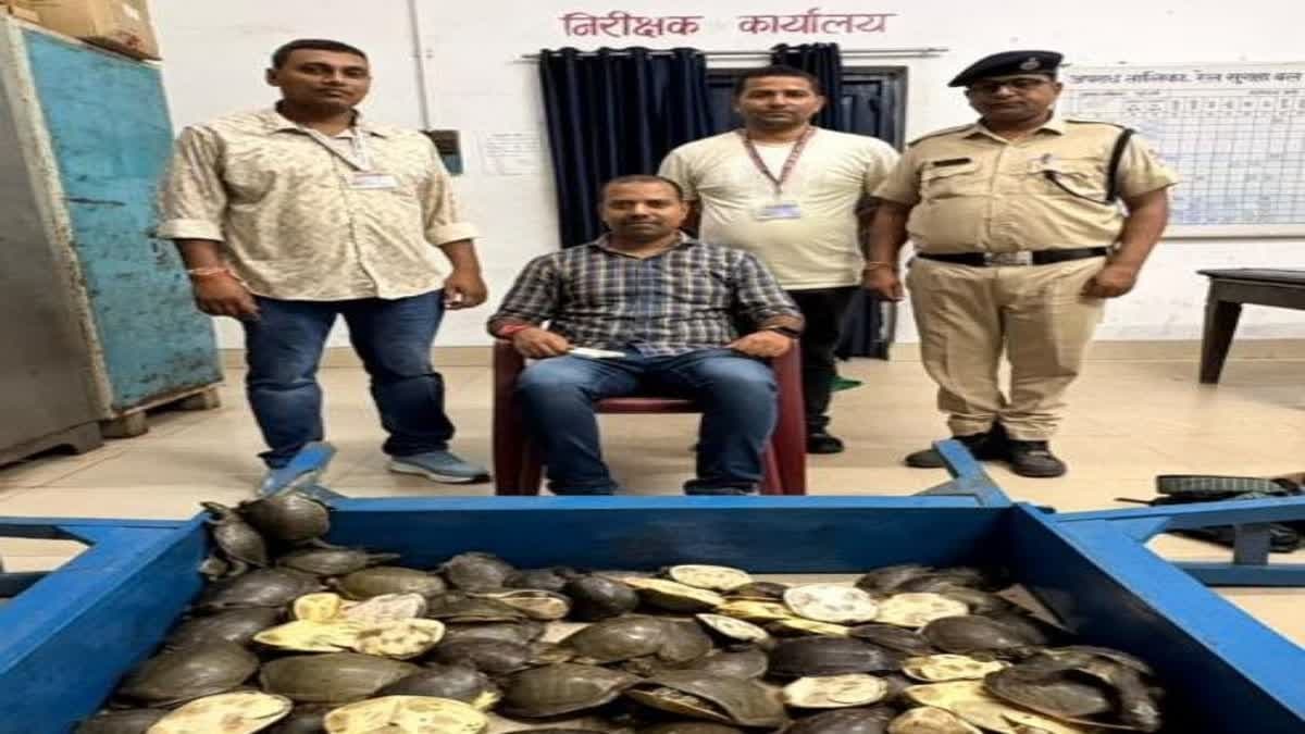 धनबाद में ट्रेन के जरिए कछुओं की तस्करी का खुलासा, RPF टीम ने की कार्रवाई