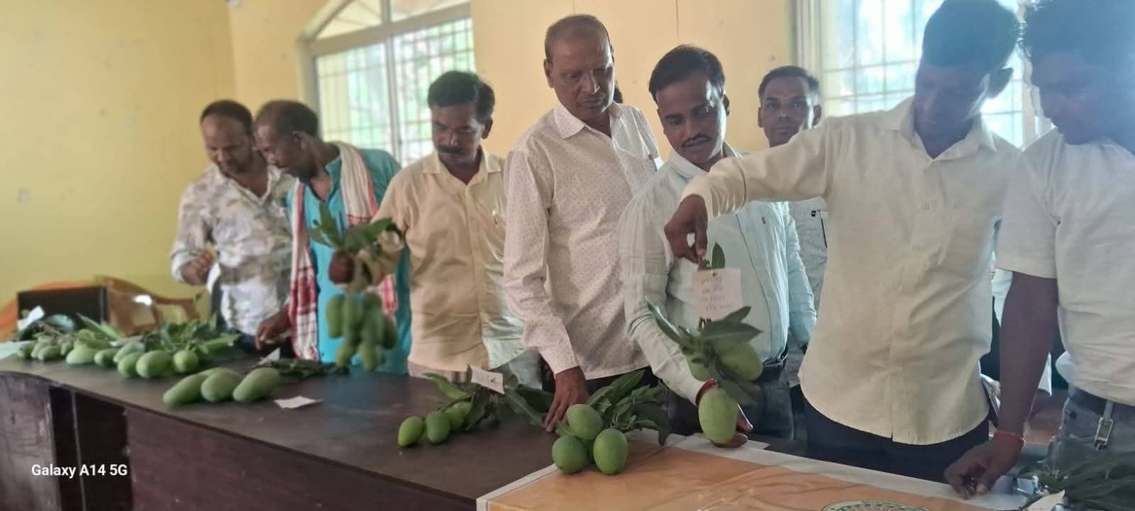 प्रखंड स्तरीय गोष्ठी में आम्रपाली आम की भव्य प्रदर्शनी का आयोजन