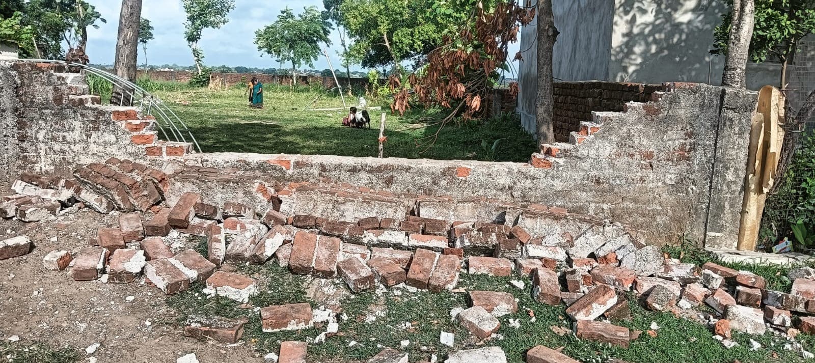 रात में गांव में घुसे हाथियों का जोड़ा, चारदीवारी तोड़ी; दहशत में जागकर रात काटते रहे ग्रामीण