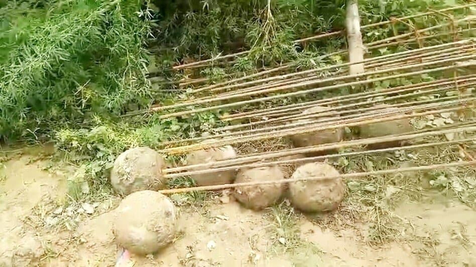 घर में खुदाई करते ही जमीन से निकले 29 रहस्यमयी गोले, प्रशासन ने घेरा इलाका; अब खुलेगा राज