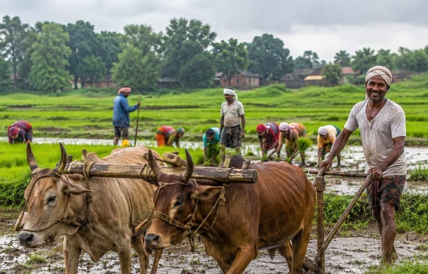 मानसून की झमाझम बारिश से खिल उठे किसानों के चेहरे, खेतों में तेज हुई तैयारी 