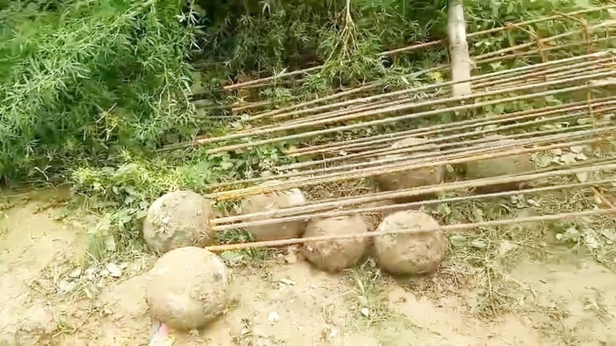 अमेठी में घर की खुदाई के दौरान निकले 29 रहस्यमयी धातु के गोले, प्रशासन ने रुकवाया काम