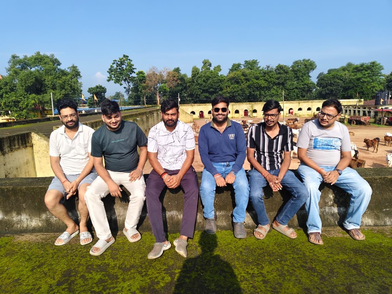 गौ सेवा के साथ पंचम श्री श्याम मनुहार महोत्सव की तैयारियां तेज, 30 अगस्त को सजेगा बाबा श्याम का भव्य दरबार