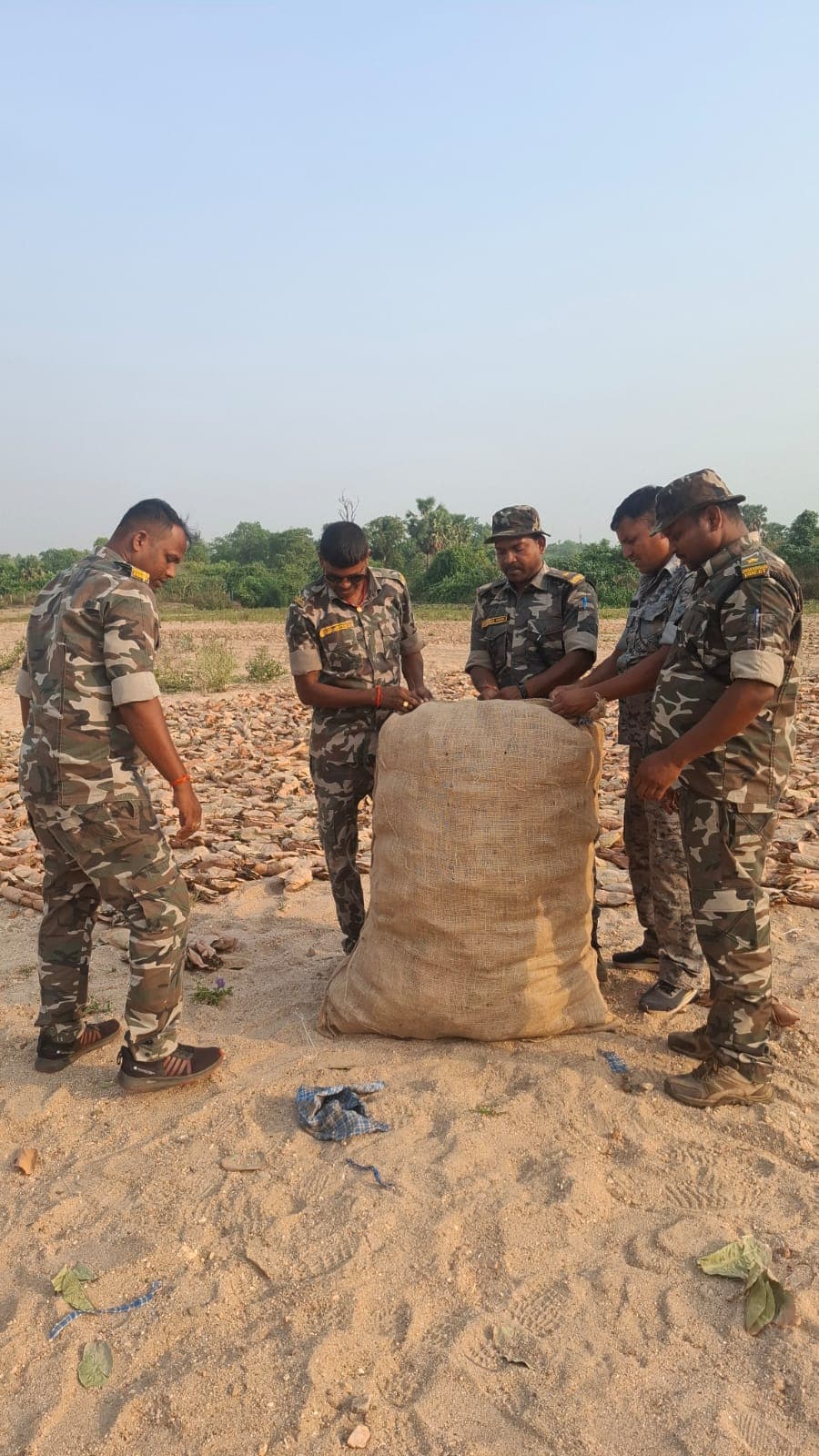 चौपारण के जंगलों में अवैध केंदू पत्ता संग्रहण पर वन विभाग की बड़ी कार्रवाई, जप्त किया केंन्दु पता 