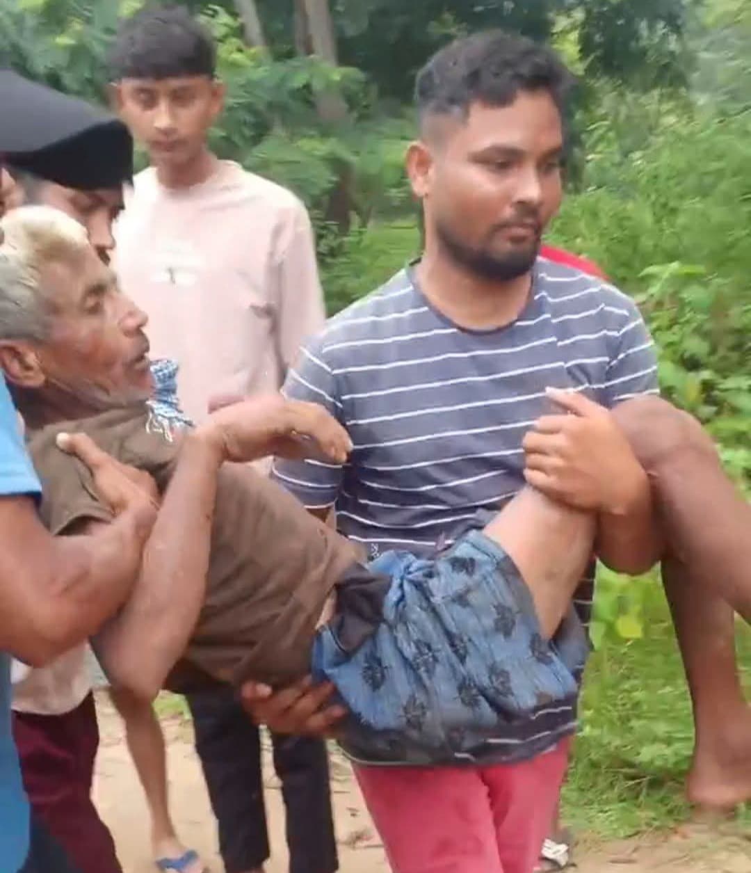 हाथियों के हमले से बुजुर्ग घायल, बगोदर में दहशत