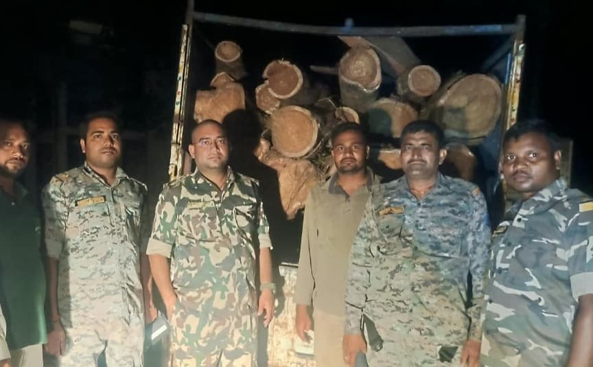 बरही में वन विभाग की बड़ी कार्रवाई, 10 शीशम के बोटे लदी पिकअप वैन जब्त
