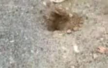 करोड़ों की लागत से बन रही पीसीसी सड़क की गुणवत्ता पर उठे सवाल, जांच की मांग