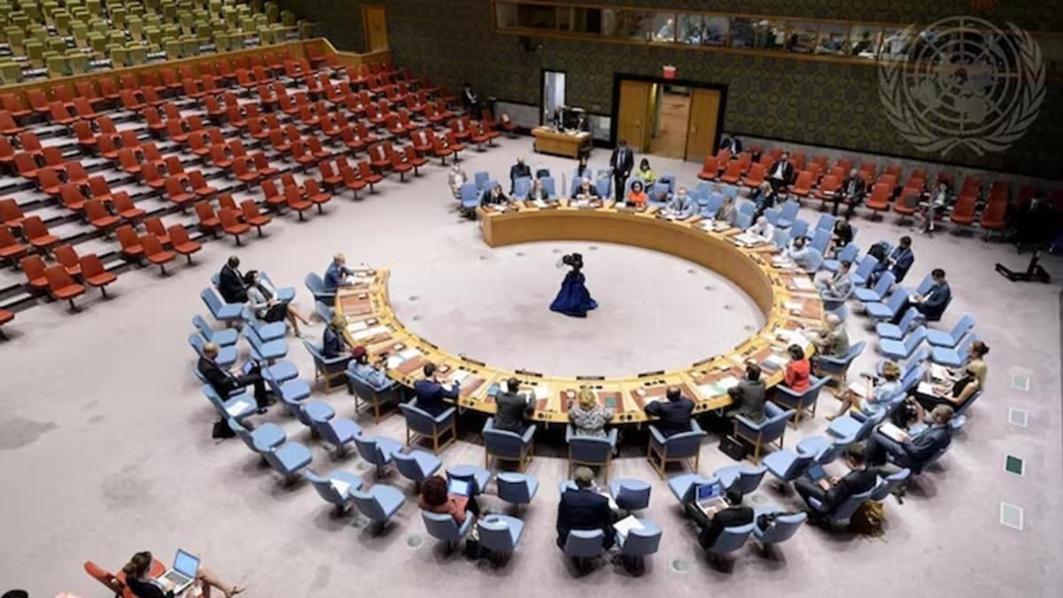 वीटो के बिना स्थायी सदस्यता मंजूर नहीं, भारत ने UNSC में रुख स्पष्ट किया