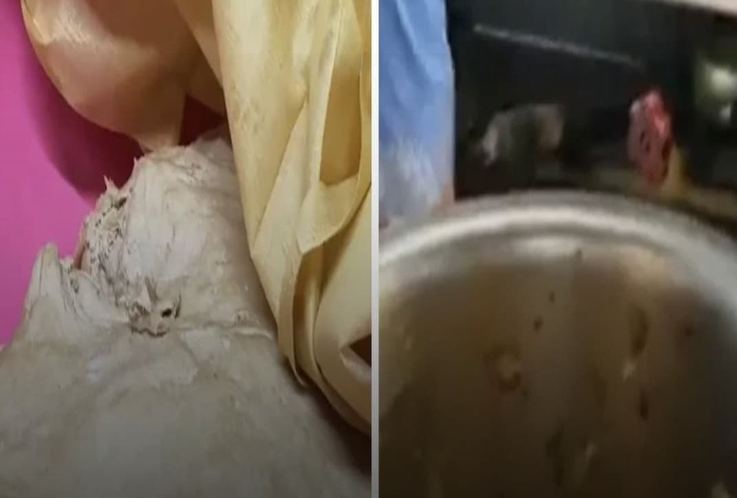 सड़ी दाल, सब्जियां और पनीर का आरोप… 4 साल की बच्ची की मौत के बाद रेस्टोरेंट सील, मचा हड़कंप