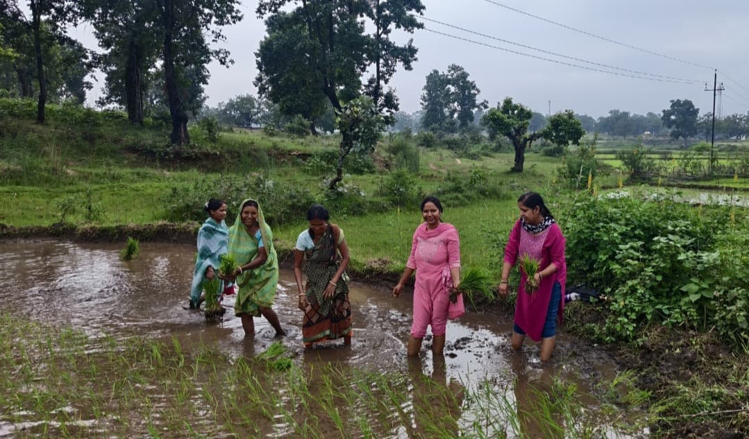 महिला किसानों के साथ खेत में उतरी मांडू बीडीओ रीना कुजूर, धनरोपनी कर महिलाओं का बढ़ाया हौंसला