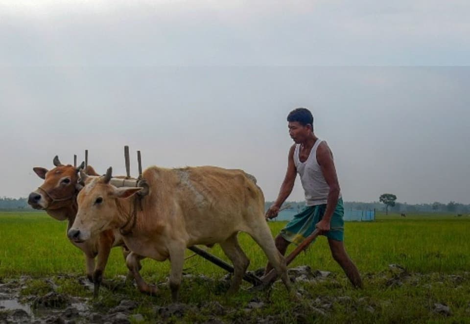 ‘बरसे बिना ही गुजर गया मॉनसून!’ अल-नीनो के असर से सूखे की चिंता, किसानों की बढ़ी बेचैनी