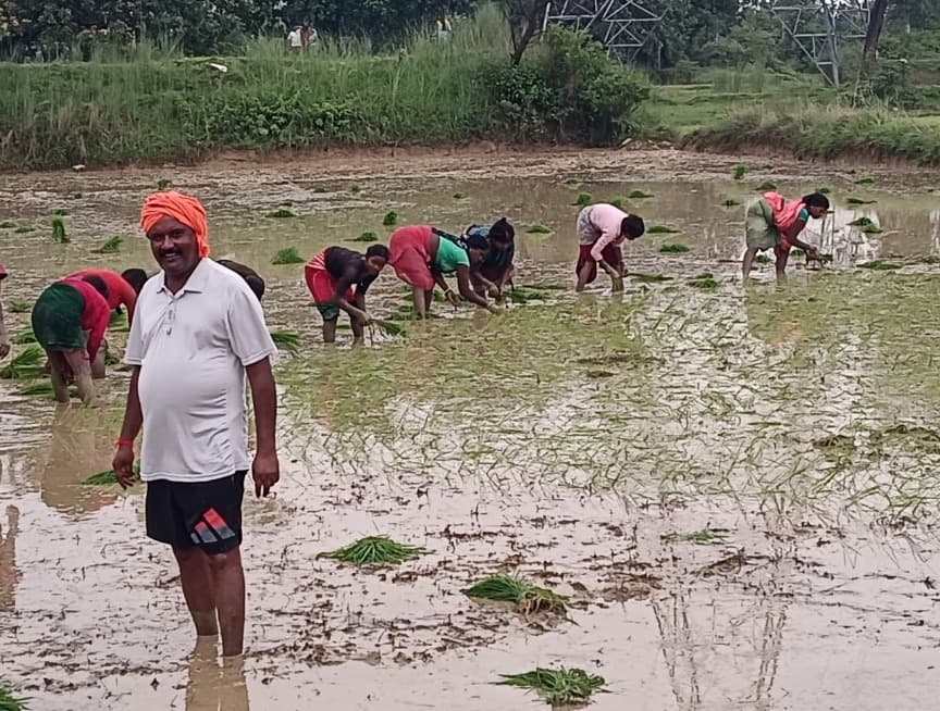 खेत में उतरे राष्ट्रीय मानवाधिकार एसोसिएशन के प्रदेश संयोजक भरत यादव, किसानों के साथ किया धान रोपनी  