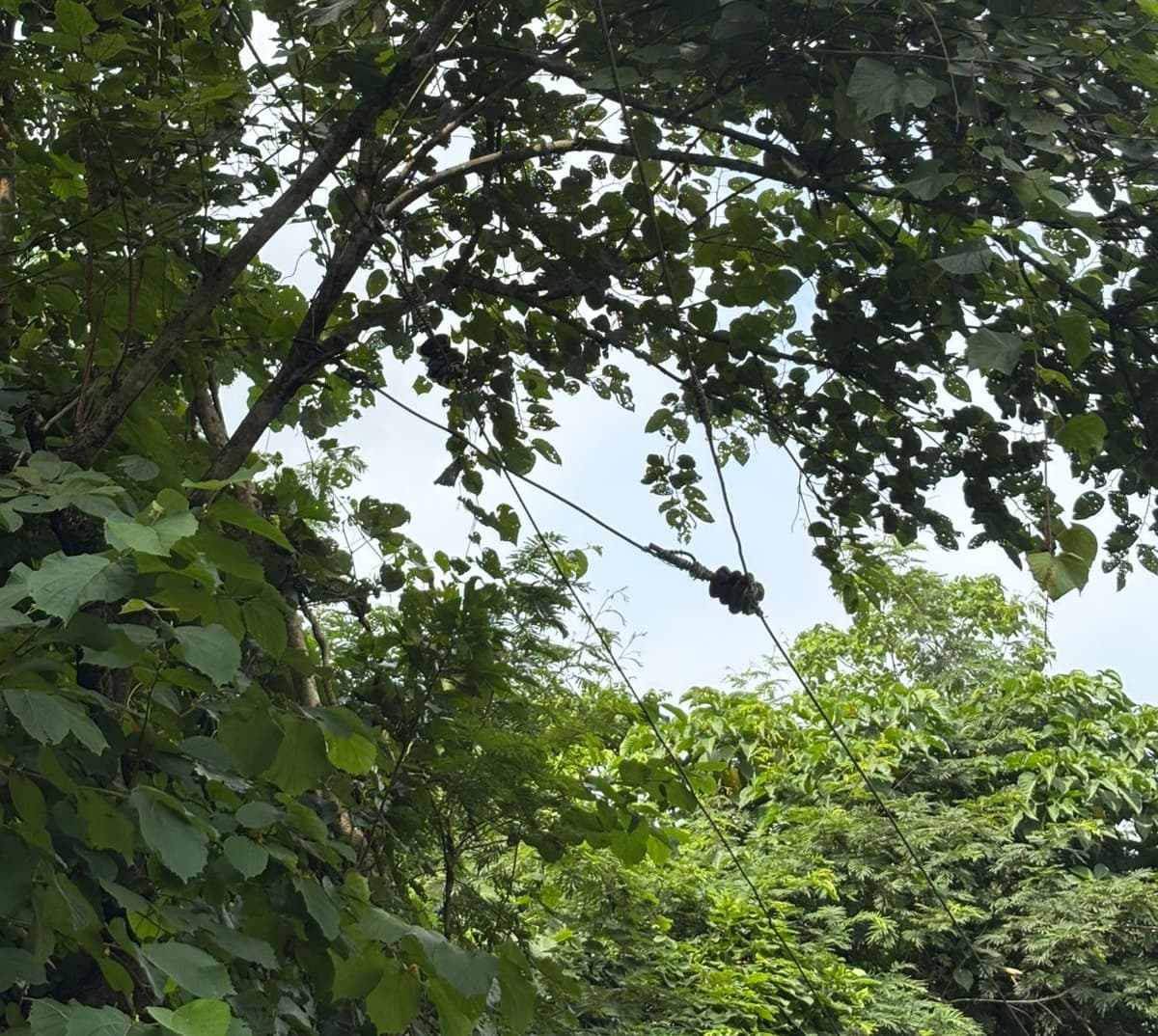 बारिश की बूंदों के साथ बढ़ जाता है चोरदाहा का बिजली संकट