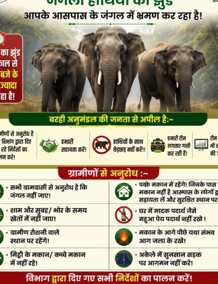 बरही में हाथियों के झुंड से दहशत, वन विभाग ने जारी किया अलर्ट - शाम 6 से सुबह 7 बजे तक जंगल-खेत में जाने से बचें