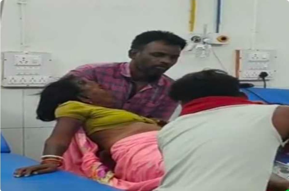 खेत से घर लौट रही 65 वर्षीय महिला को सांप ने डंसा, इलाज के दौरान मौत, परिवार में मचा कोहराम