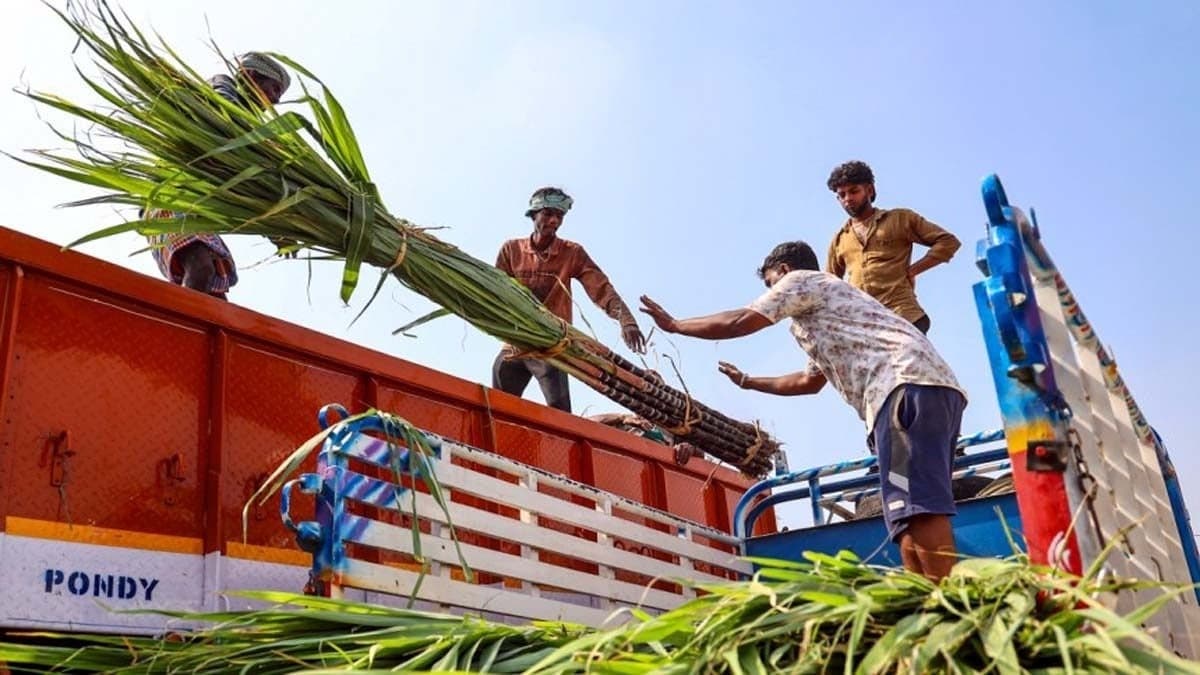 अल नीनो और एथेनॉल की बढ़ती मांग से चीनी निर्यात पर संकट, भारत कई साल तक नहीं भेज पाएगा चीनी