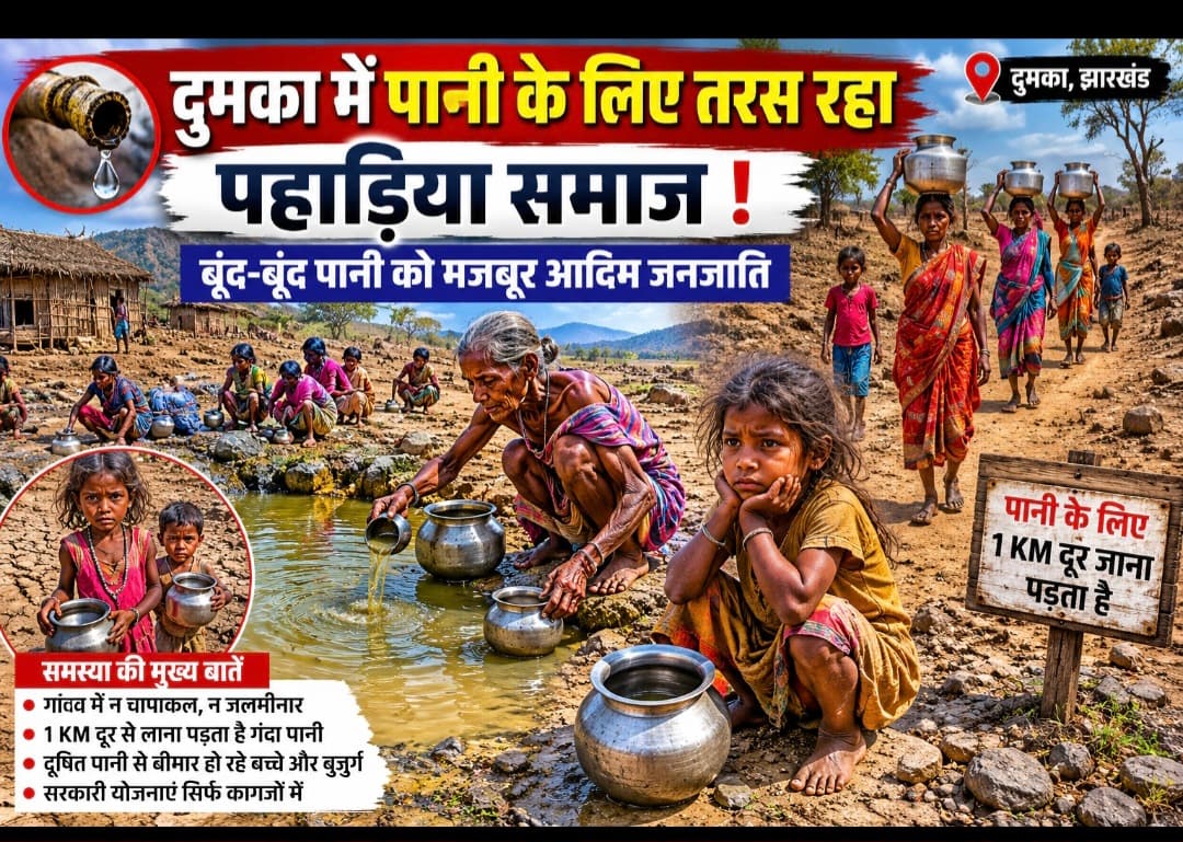 दुमका में पानी के लिए तरस रहा पहाड़िया समाज, बूंद-बूंद पानी को मजबूर आदिम जनजाति