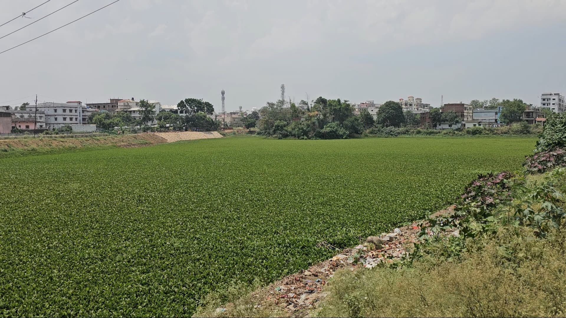 हजारीबाग के जल स्रोतों, नदियों और तालाबों को अतिक्रमण मुक्त कर संरक्षित करने की मांग, मनोज गुप्ता ने उपायुक्त को सौंपा ज्ञापन