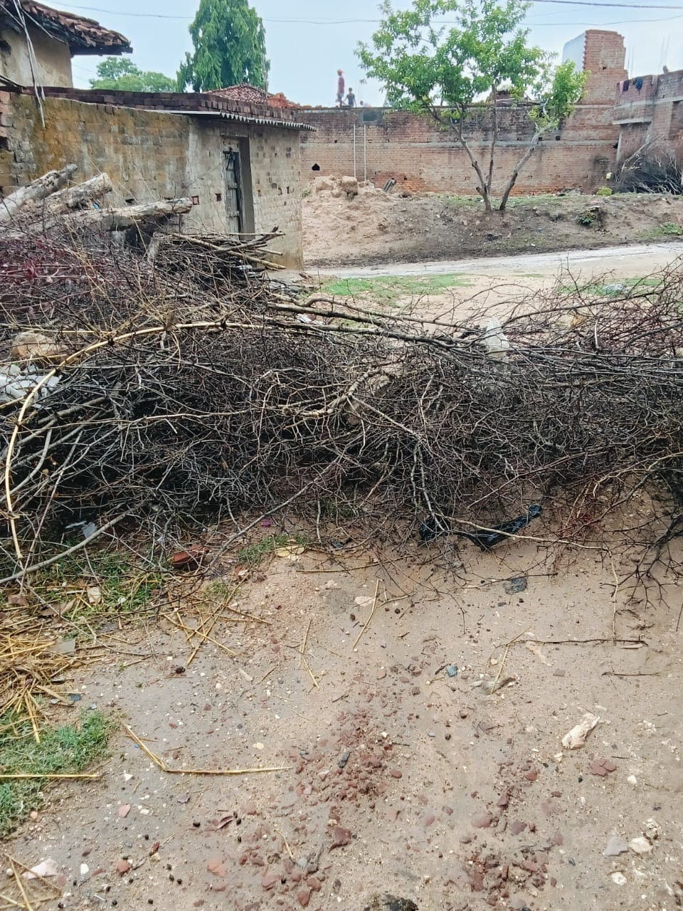 पहरा में आम रास्ता बंद करने का आरोप, ग्रामीणों ने CO को सौंपा आवेदन