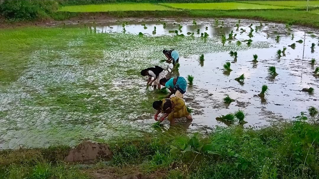मुसीबत में ‘संकटमोचन’ बन जाता है पूरा गांव, लातेहार के आदिवासी समाज में आज भी जिंदा है ‘मददी प्रथा’