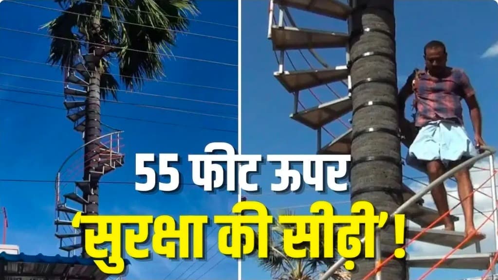 बेटा हो तो ऐसा! पिता के लिए पेड़ पर बनवा दी सीढ़ियां