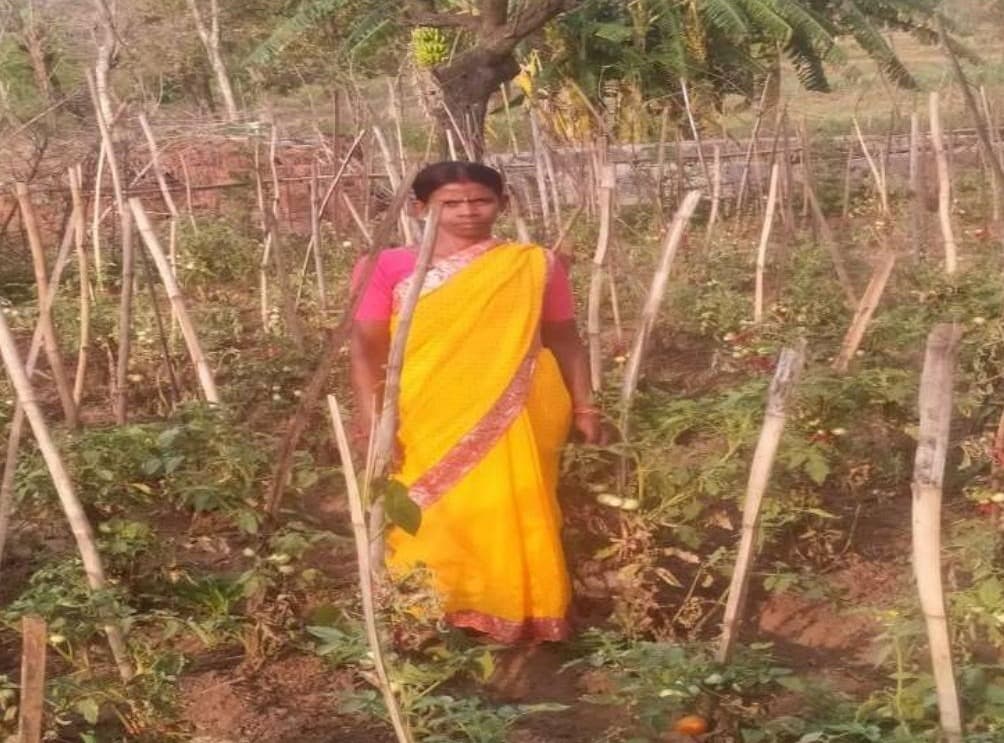 संघर्ष से स्वावलंबन तक: ममता देवी ने बदली अपनी किस्मत, बनीं ग्रामीण महिलाओं के लिए प्रेरणा