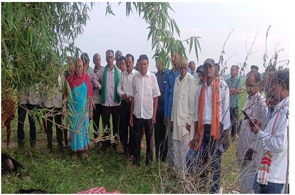 कसमार में वज्रपात से महिला की मौत, तीन बकरियां भी मरीं