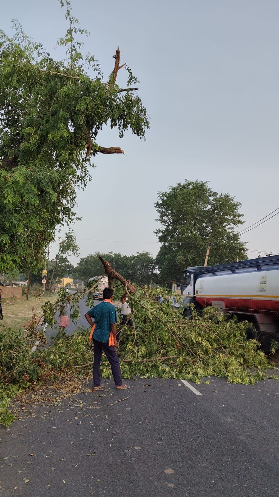 एनएच 522 पर हादसे को दावत दे रहे हैं सूखे और हरे पेड़, विभाग बेखबर; ग्रामीणों ने खुद काटी टहनियाँ
