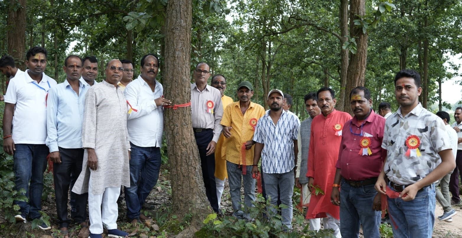 हजारीबाग के बसोबार में पेड़ों को बांधा रक्षा सूत्र, विधायक प्रदीप प्रसाद ने लिया संरक्षण का संकल्प
