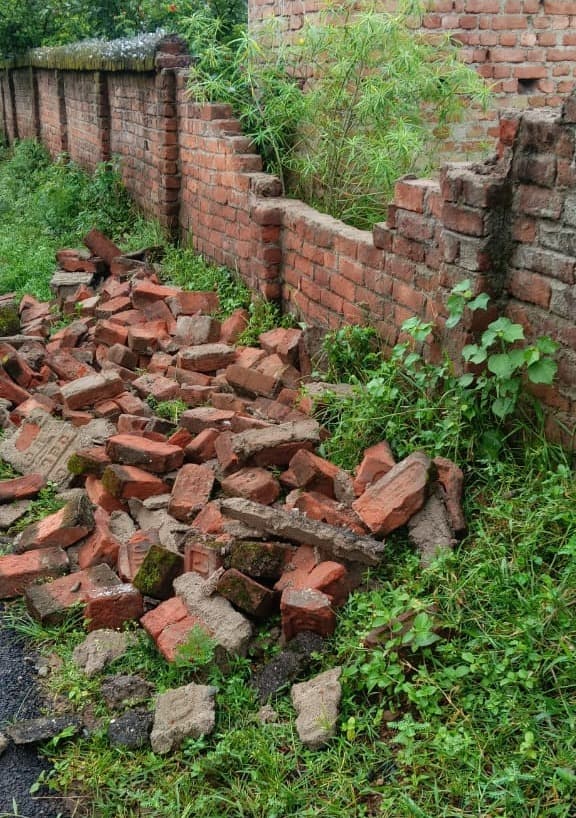 मांडू में जंगली हाथियों का कहर जारी, चहारदिवारी तोड़ी और मकई की फसल रौंदी