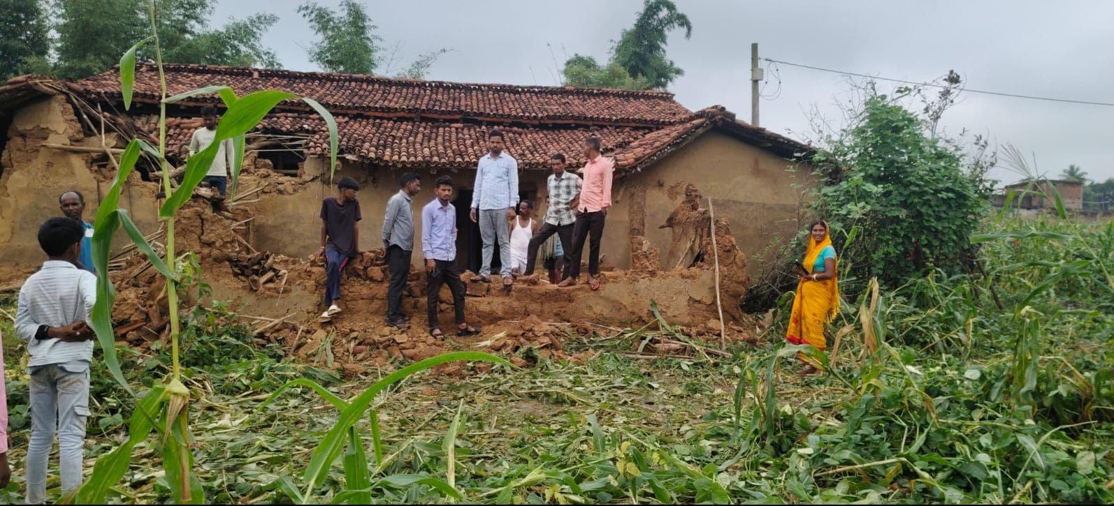 बगोदर में हाथियों का कहर, 30 के झुंड ने मचाई भारी तबाही