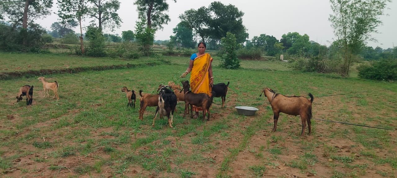 अनिता देवी: महिला सशक्तिकरण की प्रेरणा और आर्थिक आत्मनिर्भरता की मिसाल
