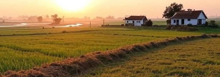 हजारीबाग में सरकारी जमीन और जलस्रोतों के अतिक्रमण की दें सूचना