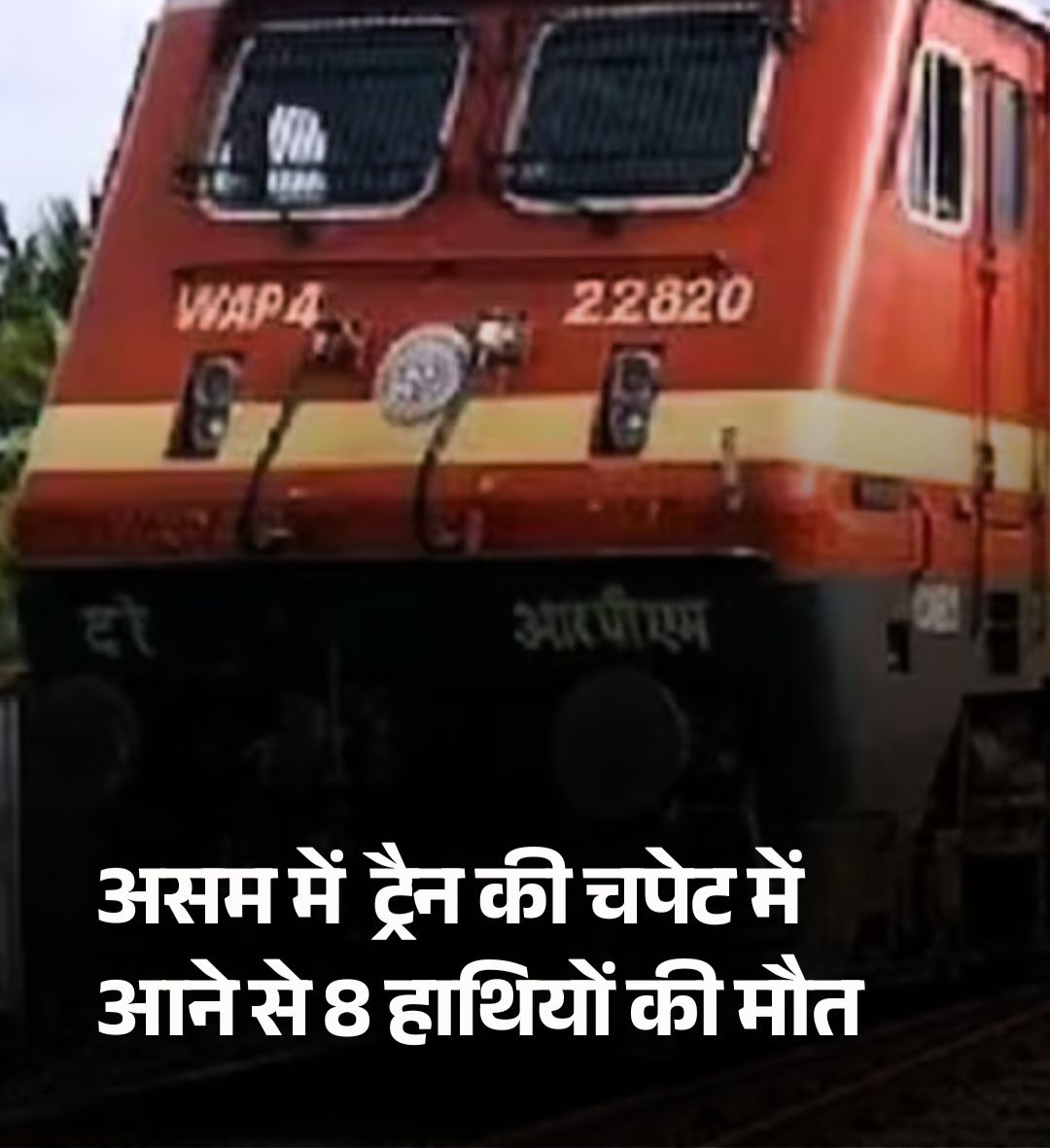 असम में दर्दनाक हादसा, राजधानी एक्सप्रेस की चपेट में आने से 8 हाथियों की मौत, 5 डिब्बे पटरी से उतरे