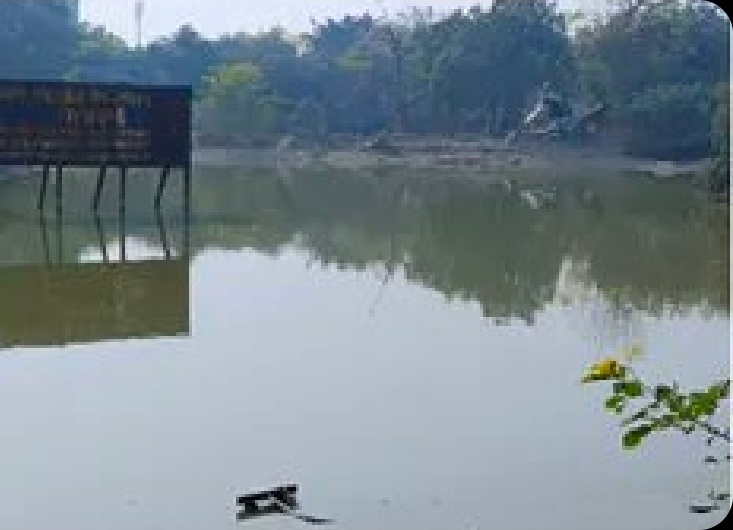 इंजीनियर युवराज की मौत के बाद दहशत में नोएडा का इलाका, लोगों में बढ़ा डर, सेक्टर-150 जैसे हालात